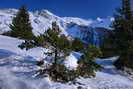 Le Collet (1752 m) - Pointe de Ronce (3612 m) et Glacier de l'Arcelle Neuve