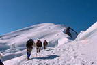Mont-Blanc - L'ar�te des Bosses (4547 m)