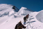 Mont-Blanc - L'ar�te des Bosses (4547 m)