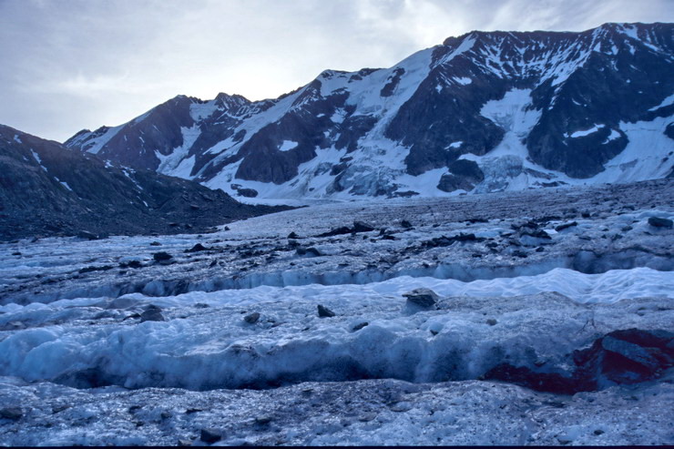 Tr la Tte - Glacier de Tr la Tte - Aiguilles de Tr la Tte (3930 m) et des Glaciers (3816 m)