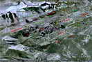 Massif des Rousses, versant ouest - Nomenclature