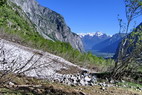 Le Lauvitel - Avalanche de la Ruissella - Massif de Belledonne (en arrire plan)