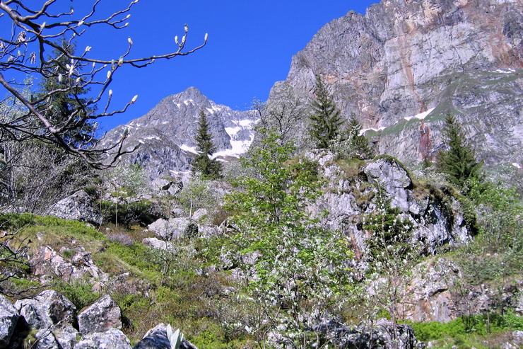 Le Lauvitel - Vallon du Lauvitel