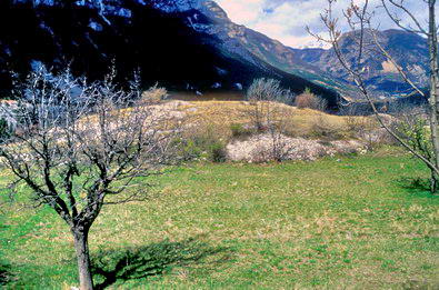 La Roche-de-Rame - Vestiges d'une motte mdivale