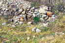 La Roche-de-Rame - Ruines d'un abri-cabane le long du 'castrum' à Maison Mura