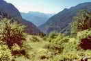 Vallon du Fournel - Les Clausas - Vue sur l'entrée du vallon