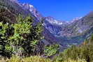 Vallon du Fournel - Vue d'ensemble - Au fond, le Pas de la Cavale (2735 m)
