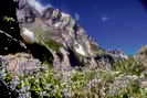 Vallon du Fournel - Chardons bleus des Deslioures - Tête de Soulaure (3243 m)