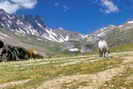 Vallon du Fournel - Alpage de la Balme (2006 m) - Le haut du Vallon