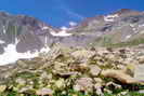 Vallon du Fournel - Pas de la Cavale (2735 m)