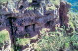 Gorges de la Biaysse ou Gouffre de Gourfouran