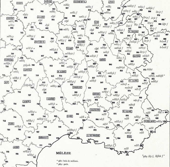 Atlas linguistique de la France - Carte Mélèze