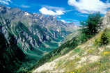La Vallouise - Sous les prés des Bancs, au-dessus du Vallon du Fournel (juillet 2000)