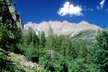 La Vallouise - Vallon de Celse Nière (juillet 1998)