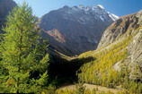 La Vallouise - Vallon de Celse Nière (octobre 1994)