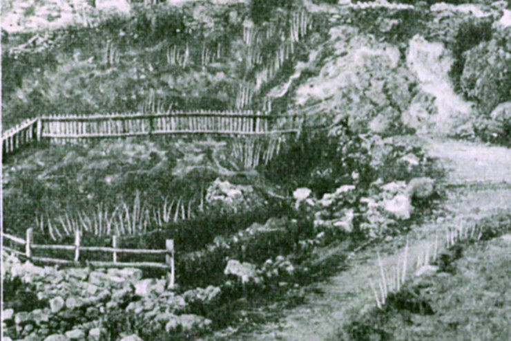 Dormillouse - Romans (1780 m) autrefois - Jardin potager