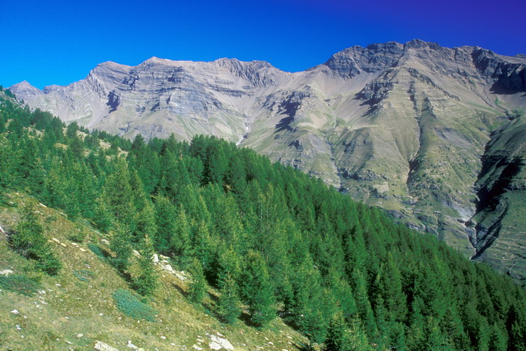 Monte au Lac de Palluel - De gauche  droite, Ttes du Plumel (3065 m) et de Soulaure (3243 m)