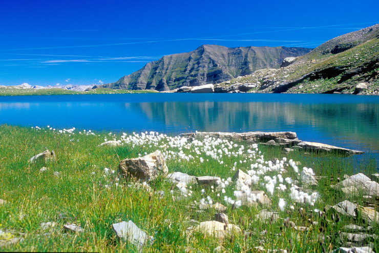 Lac Faravel (2386 m) - Le Piquet