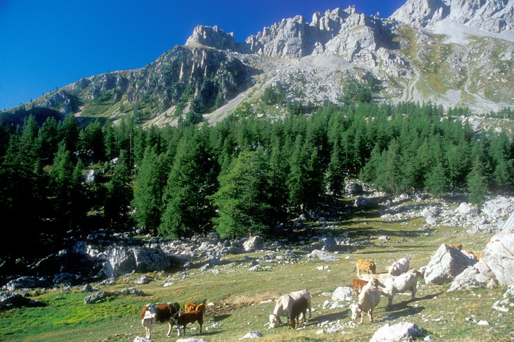 Tour de Montbrison - Les Partias (2104 m) - Crête de la Bressière (2578 m)