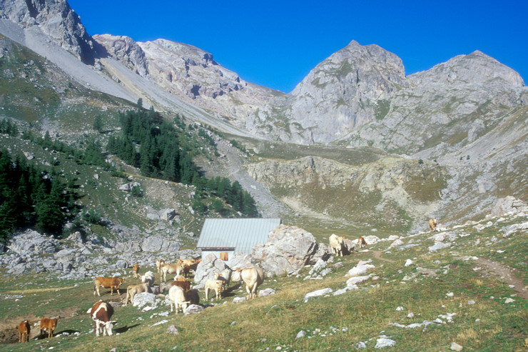 Tour de Montbrison - Les Partias (2104 m) - Cime de la Condamine (2940 m)