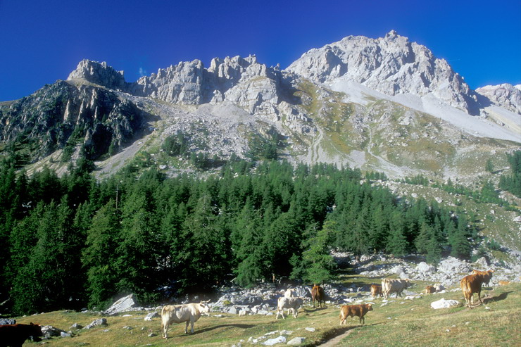 Tour de Montbrison - Les Partias (2104 m) - Crte de la Bressire (2578 m) - Rocher Bouchard (2900 m)