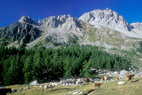 Tour de Montbrison - Les Partias (2104 m) - Crte de la Bressire (2578 m) - Rocher Bouchard (2900 m)