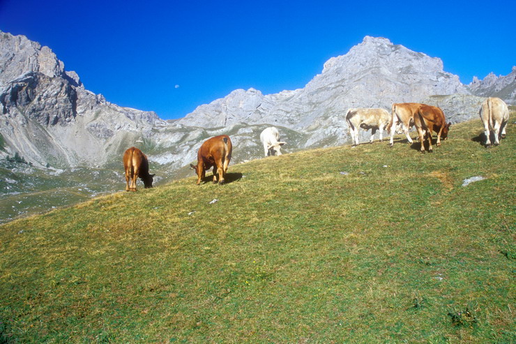 Tour de Montbrison - Alpage de la Trancoulette - Cime de la Condamine (2940 m)