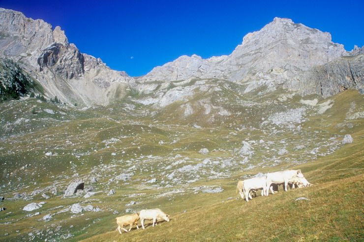 Tour de Montbrison - Alpage de la Trancoulette - Cime de la Condamine (2940 m)