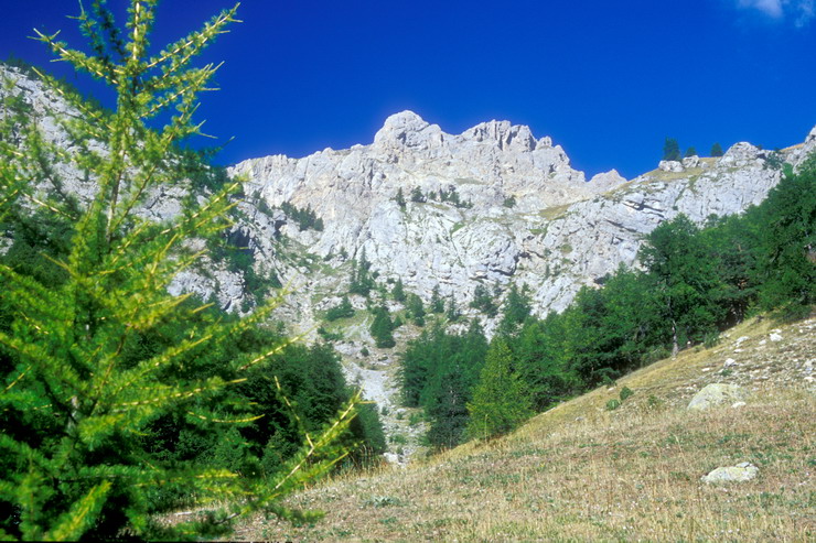 Tour de Montbrison - Riou des Pras - Crte des Lauzires (2928 m)