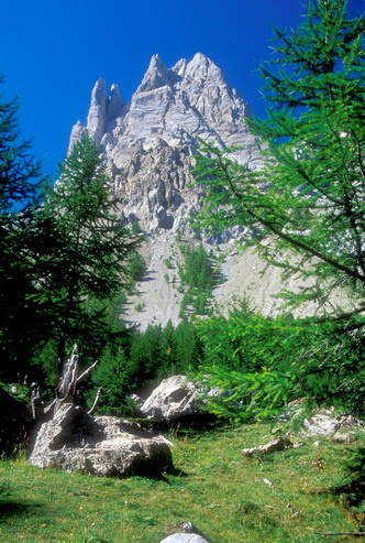 Tour de Montbrison - Combe Brune - Tenailles de Montbrison