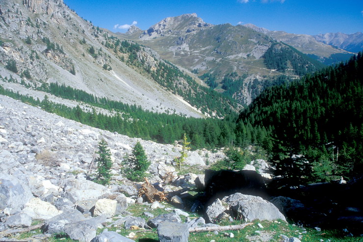 Tour de Montbrison - Combe Brune - Au fond, vallon de la Trancoulette et Croix d'Aquila (2466 m)