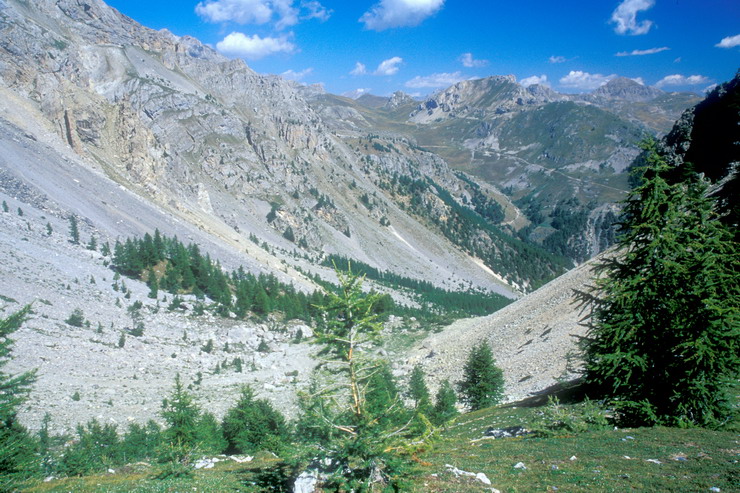 Tour de Montbrison - Combe Brune - Au fond, vallon de la Trancoulette et Croix d'Aquila (2466 m)