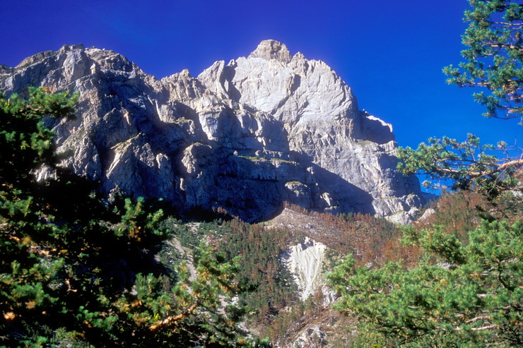 Tour de Montbrison - Bois de Parapin - Tte d'Aval (2698 m)