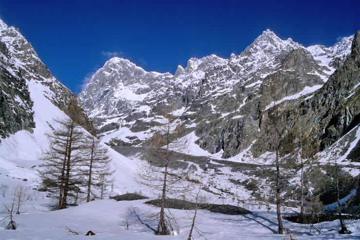 Ski en crins - Pr de Madame Carle - Barre des crins (4102 m)