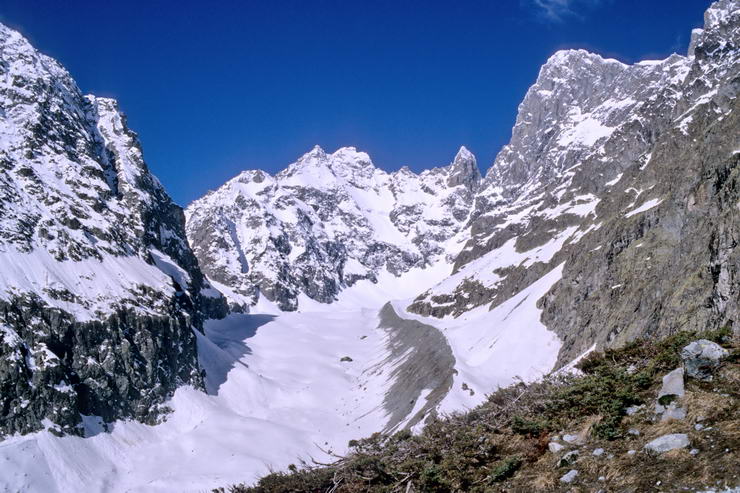 Ski en crins - Glacier Noir - Pic Coolidge (3775 m) et Barre des crins (4102 m)
