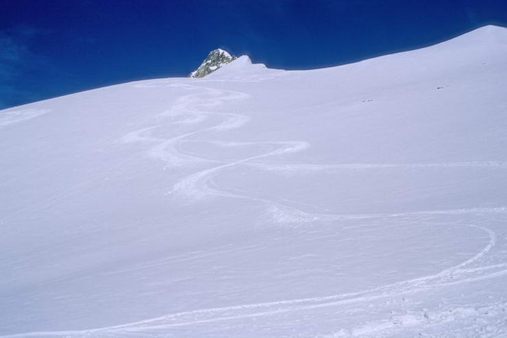 Ski en crins - Pentes suprieures de Roche Faurio (3730 m)