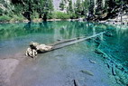 Valle troite - Lac Vert, Lago Verde (1834 m)