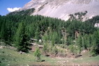 Valle troite - Site du Lac Vert, cach derrire la moraine fossile