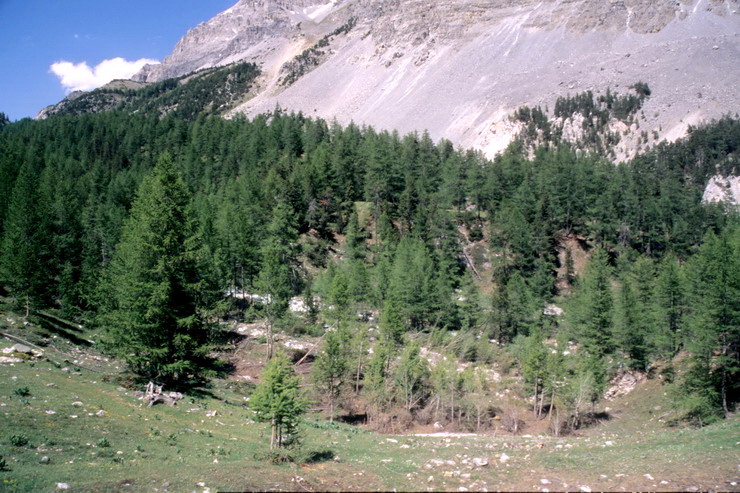 Valle troite - Site du Lac Vert, cach derrire la moraine fossile