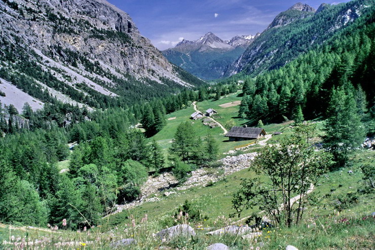 Vallée Étroite - Vue générale depuis l'amont - Les Serres (1800 m)