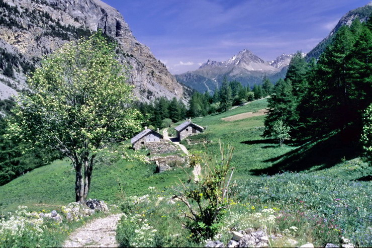 Valle troite -Les Serres (1800 m)